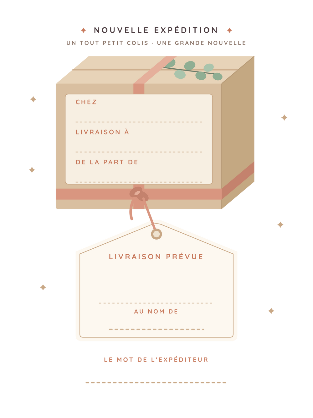 Affiche annonce grossesse personnalisée | Le petit colis arrive