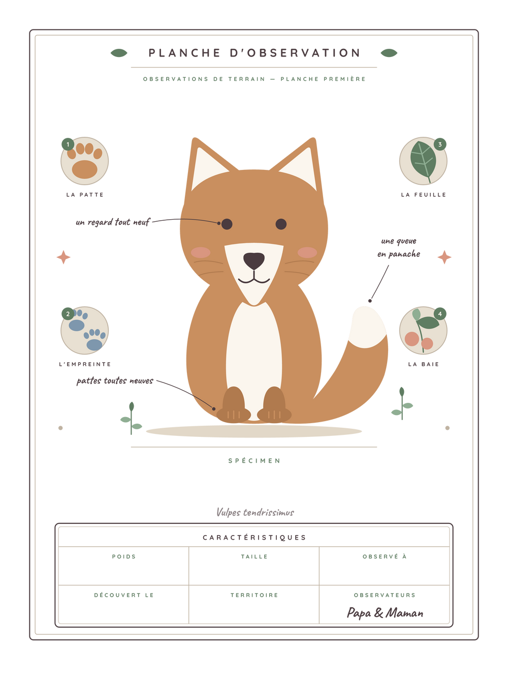 Affiche naissance personnalisée | Planche naturaliste
