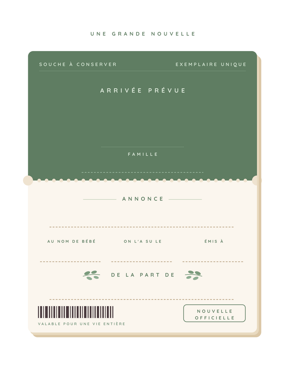 Poster annonce grossesse originale | Le ticket surprise